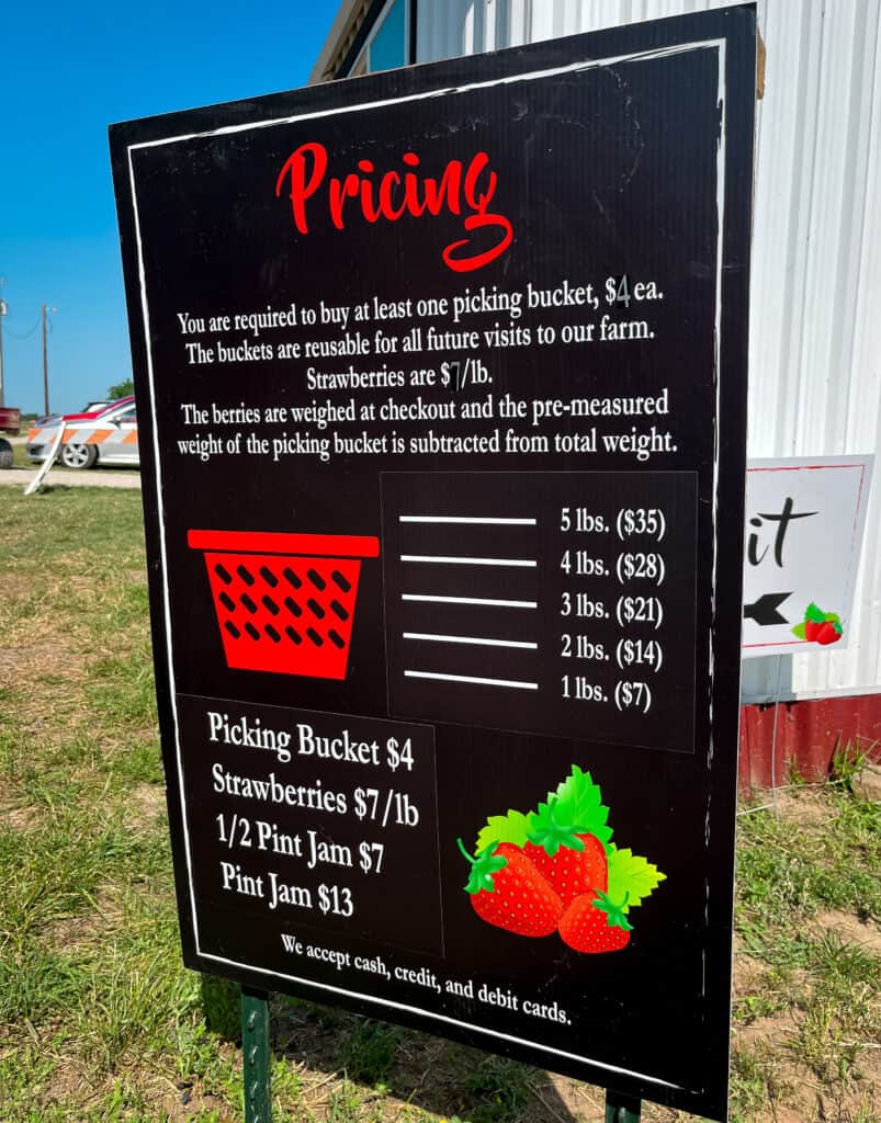 dallas strawberry shortcake; Dallas Strawberry Picking