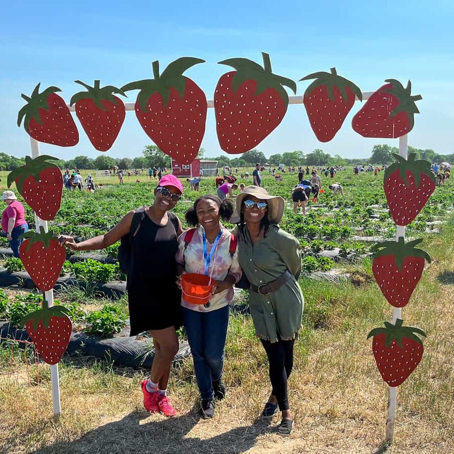 strawberry picking Dallas; Dallas Strawberry Picking