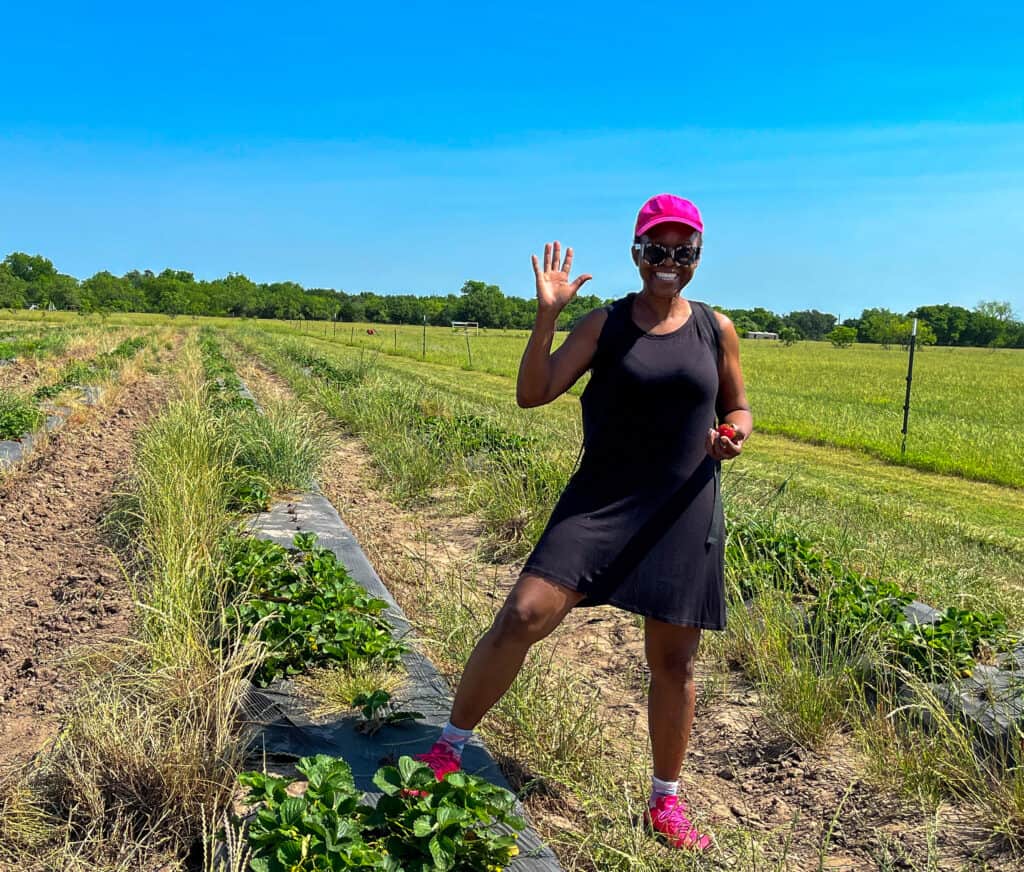 fruit picking near me; Dallas Strawberry Picking