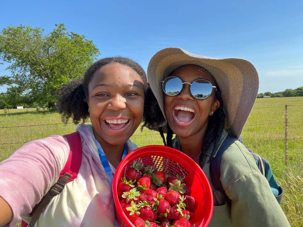 Girls hold a basket of freshly picked strawberries at Pecan Creek Strawberry Farm— one of the popular Dallas Farms.