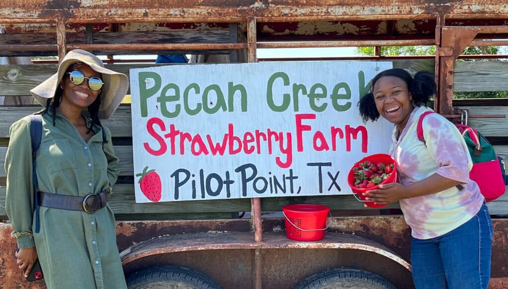 strawberry picking near me; Dallas Strawberry Picking