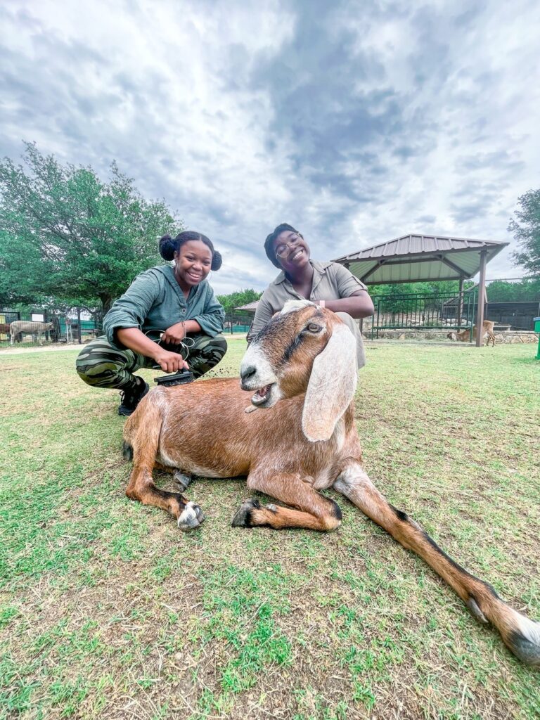 fossil rim 