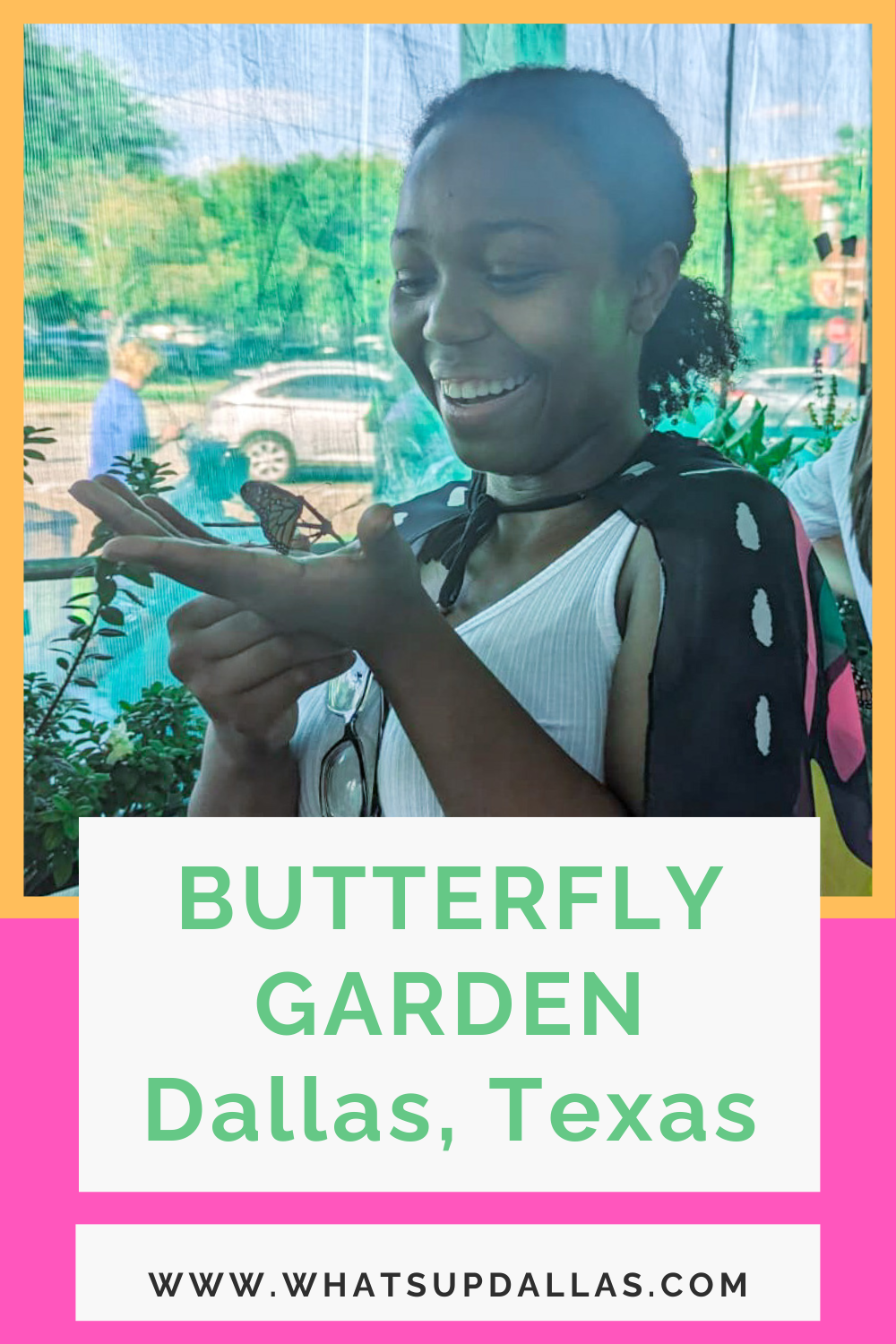 Butterfly garden Dallas 