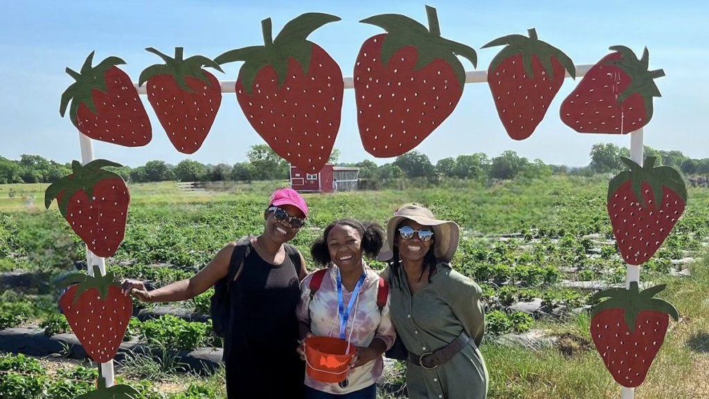 things to do in dallas texas