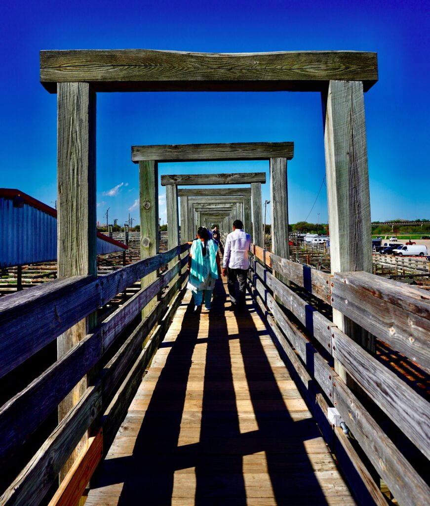 best time to visit fort worth stockyards 