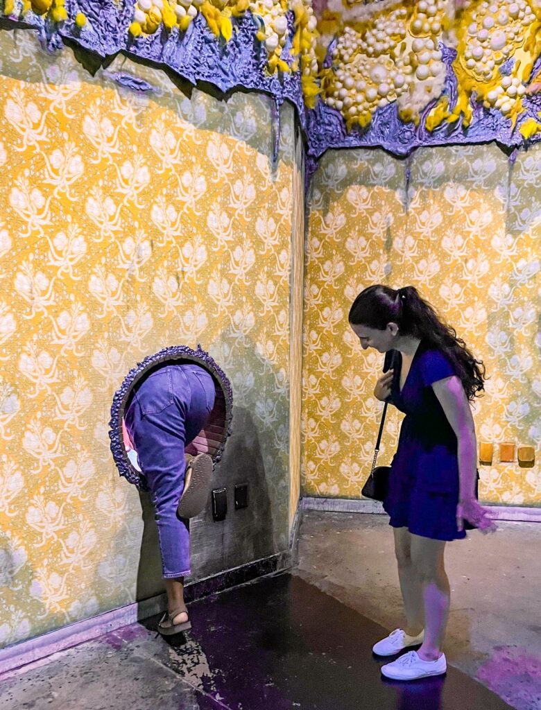 Is Meow Wolf Worth It?