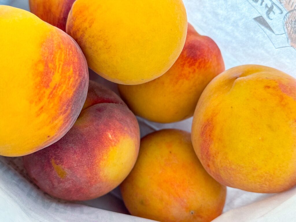 Freshly harvested peaches grouped together on a cloth.