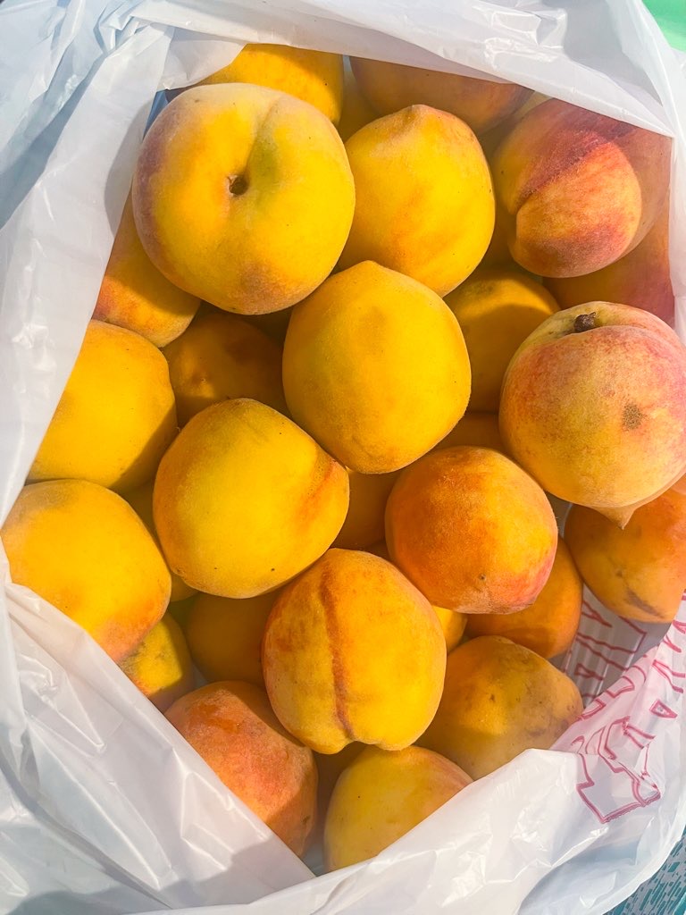 Peach farm in Texas