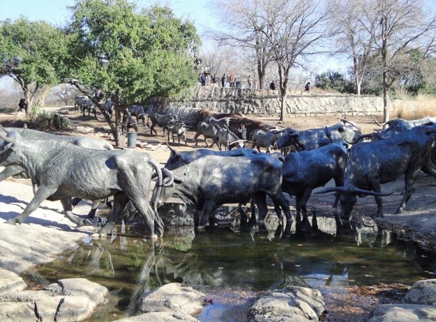 Cattle drive bronze steers statue in Pioneer Plaza Dallas