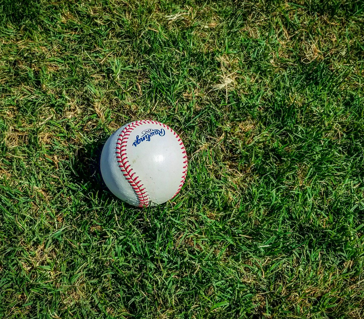 Baseball laying in the grass at Dallas Baseball Stadium
