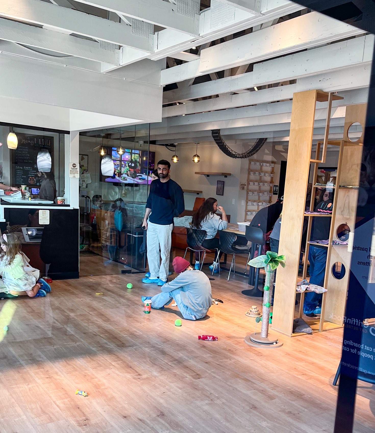 visitors at Dallas cat café, interacting with the cats