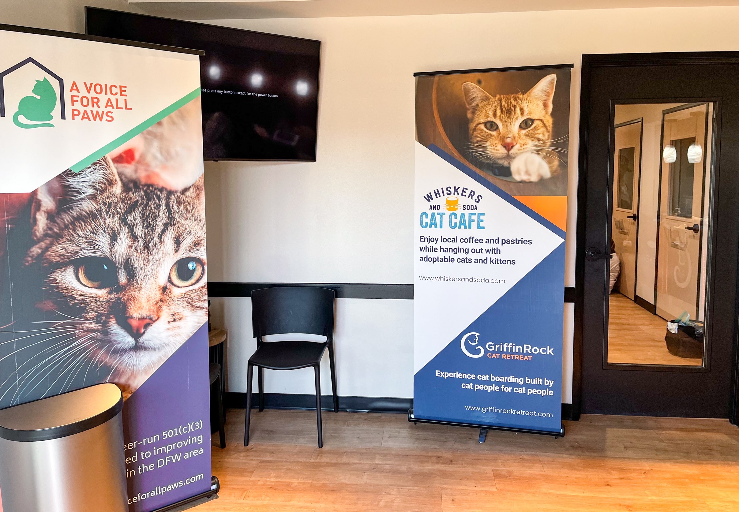 Whiskers and Soda welcome advertisement for playing with and/or adopting cats from Dallas Cat Café
