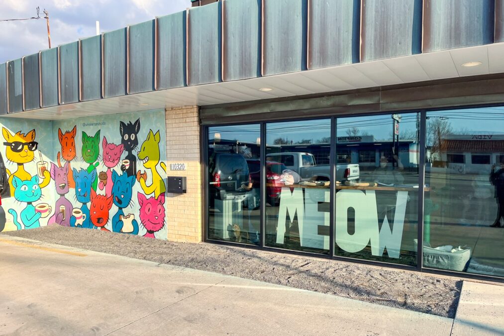 Cat café in Texas