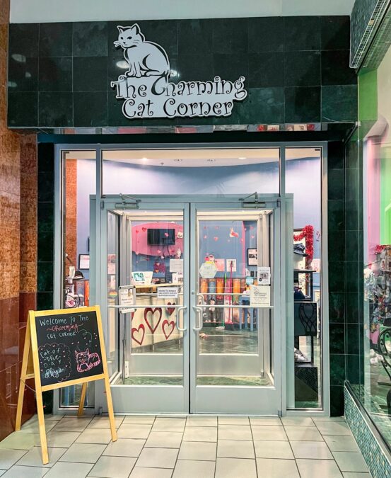 The charming Cat Corner Cat Café entry doors for cozy cat café 