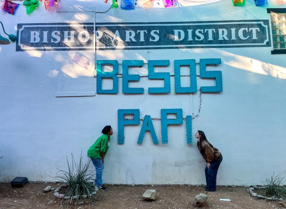 the bishop arts district