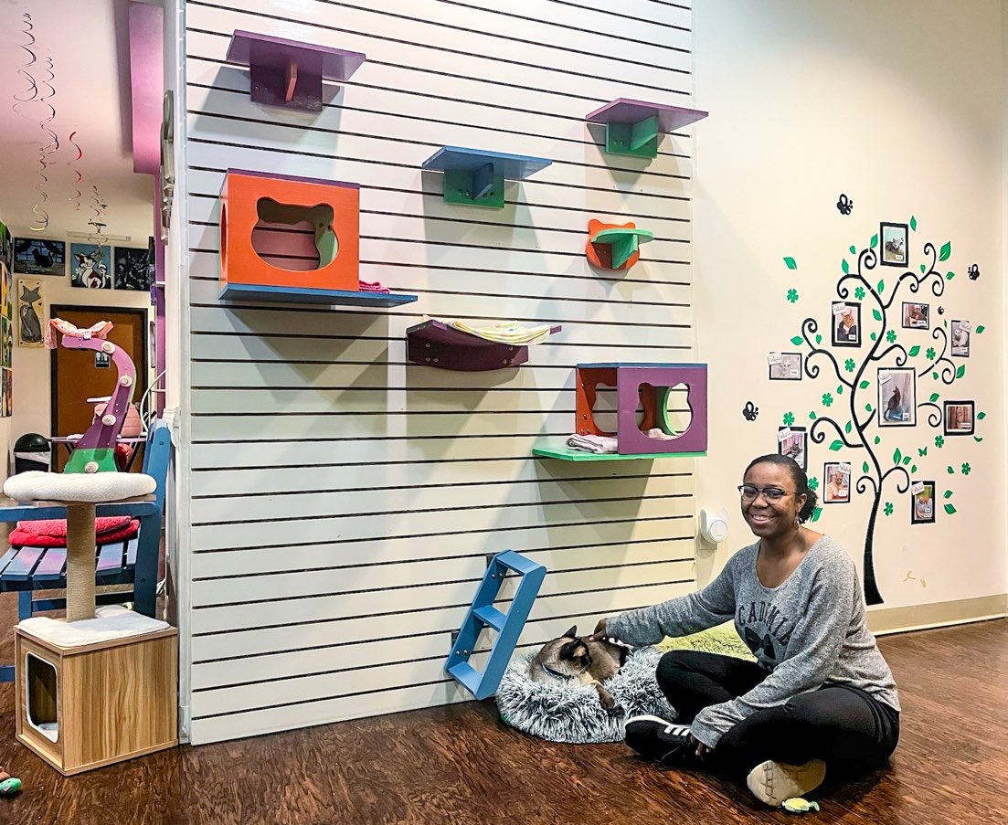 young lady playing with cat at Dallas cat café 