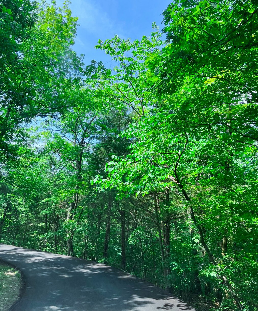 Tour branson