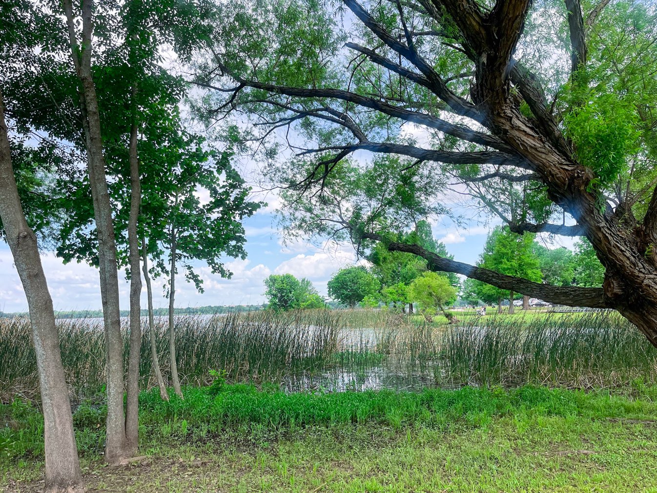 White rock lake trail