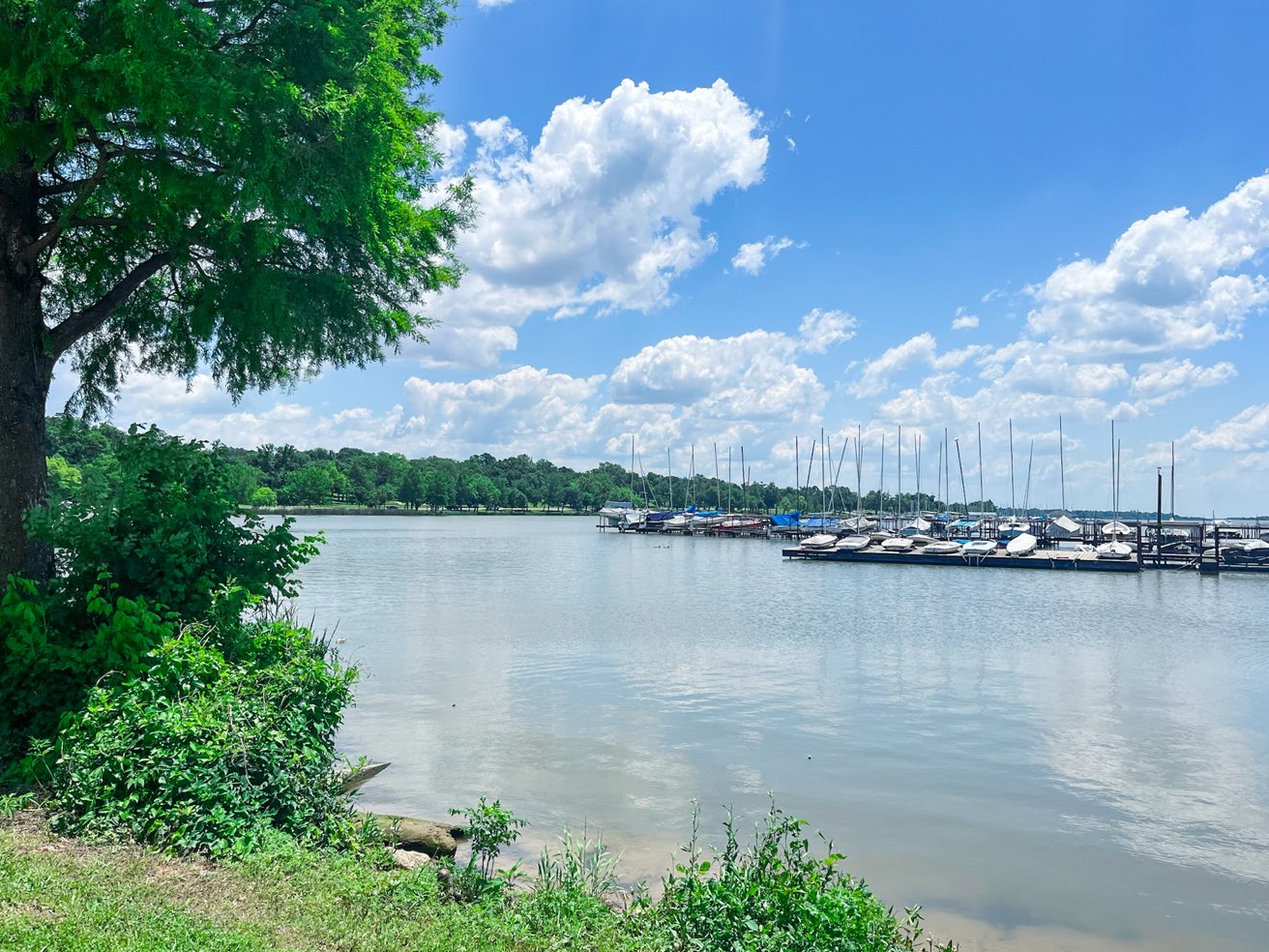 White rock lake park