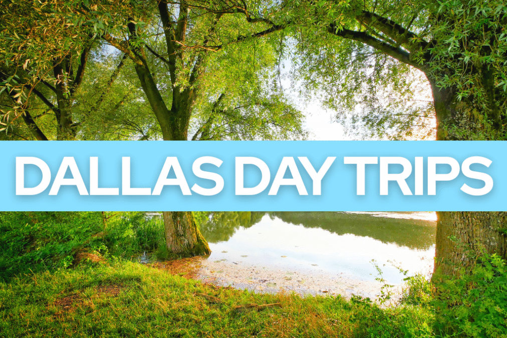 Trips you can take from Dallas and complete in one day.