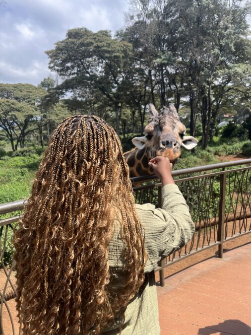 Girl feeding giraffe at Nairobi Giraffe Center in Kenya