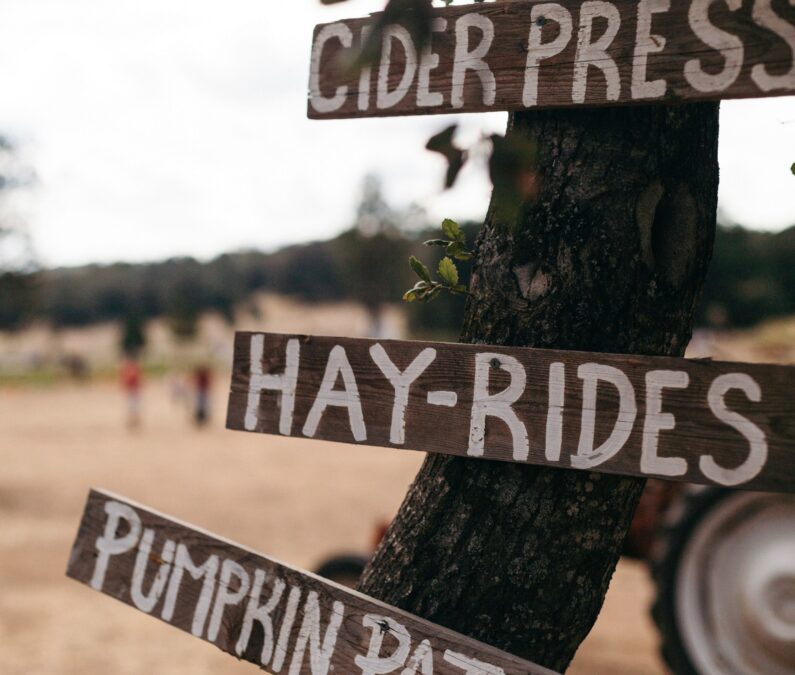 An old tree with three wooden signs labeled “Hayrides,” “Cider Press,” and “Pumpkin Patch” at Yesterland Farm.