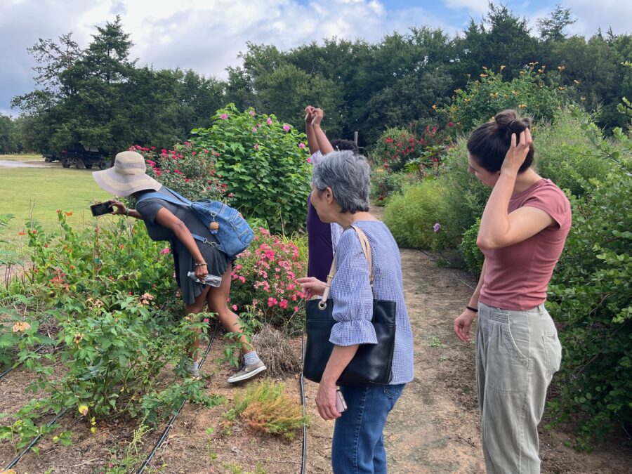 Four women watching as one photographs a bumble bee in the butterfly garden at Lavender Ridge Farms.