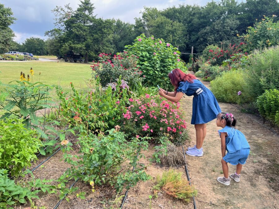 A mother and daughter observing bumble bees and butterflies in the butterfly garden at Lavender Ridge Farms.