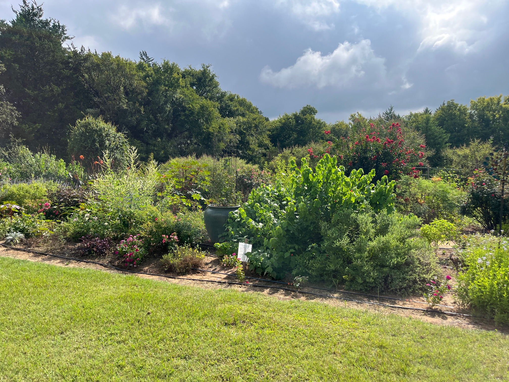 Blooming butterfly garden with colorful flowers, fluttering butterflies, and bumble bees at Lavender Ridge Farms.