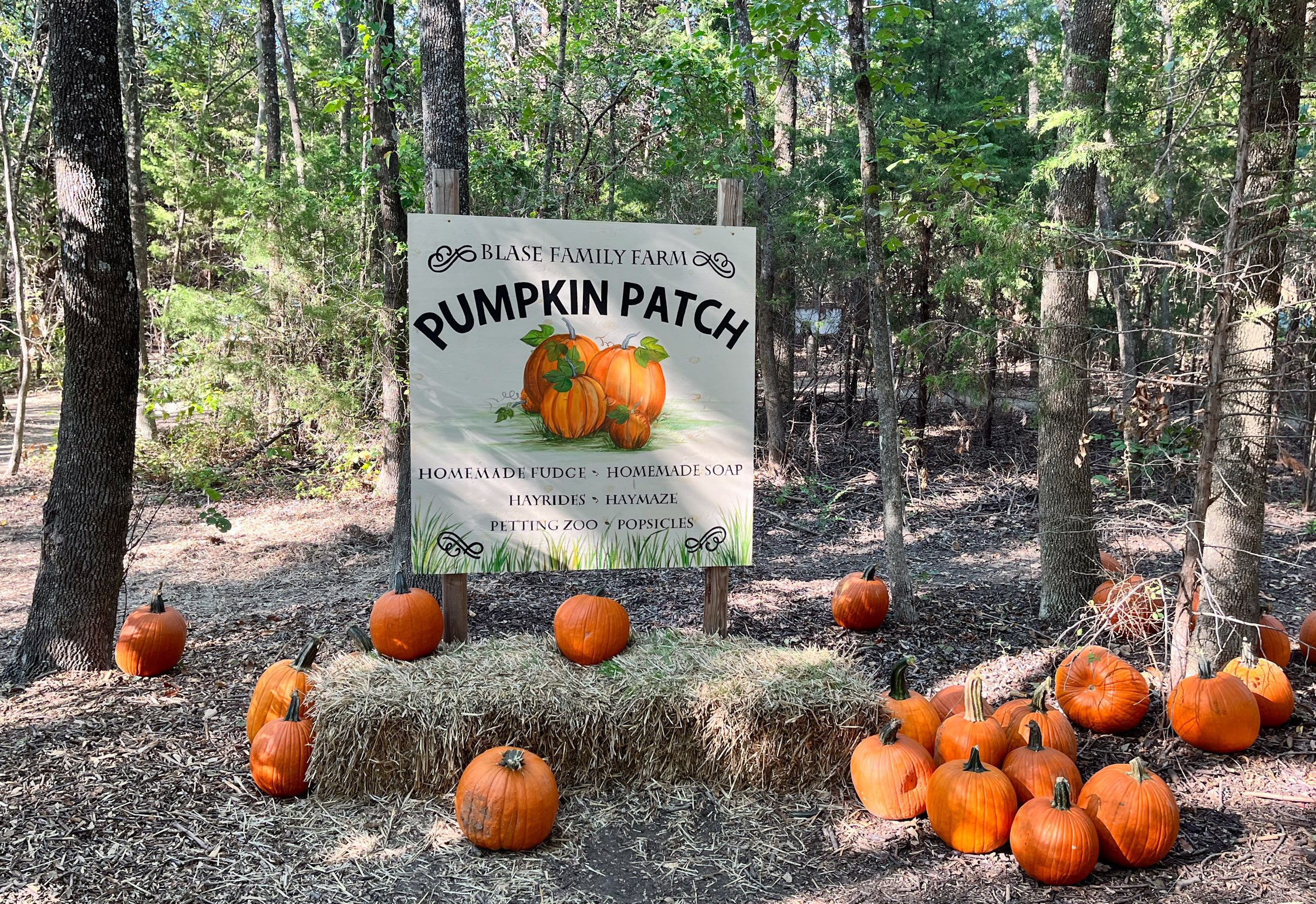 Pumpkin patch photo backdrop at Blase Family Farm, one of the Dallas Farms near Dallas, Texas.