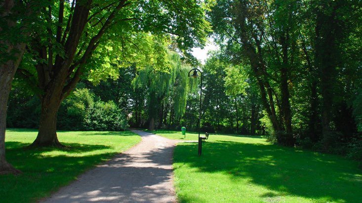 Beautiful expanse of scenery and trails at Cedar Ridge Preserve, one of the free things to do in Dallas with kids.