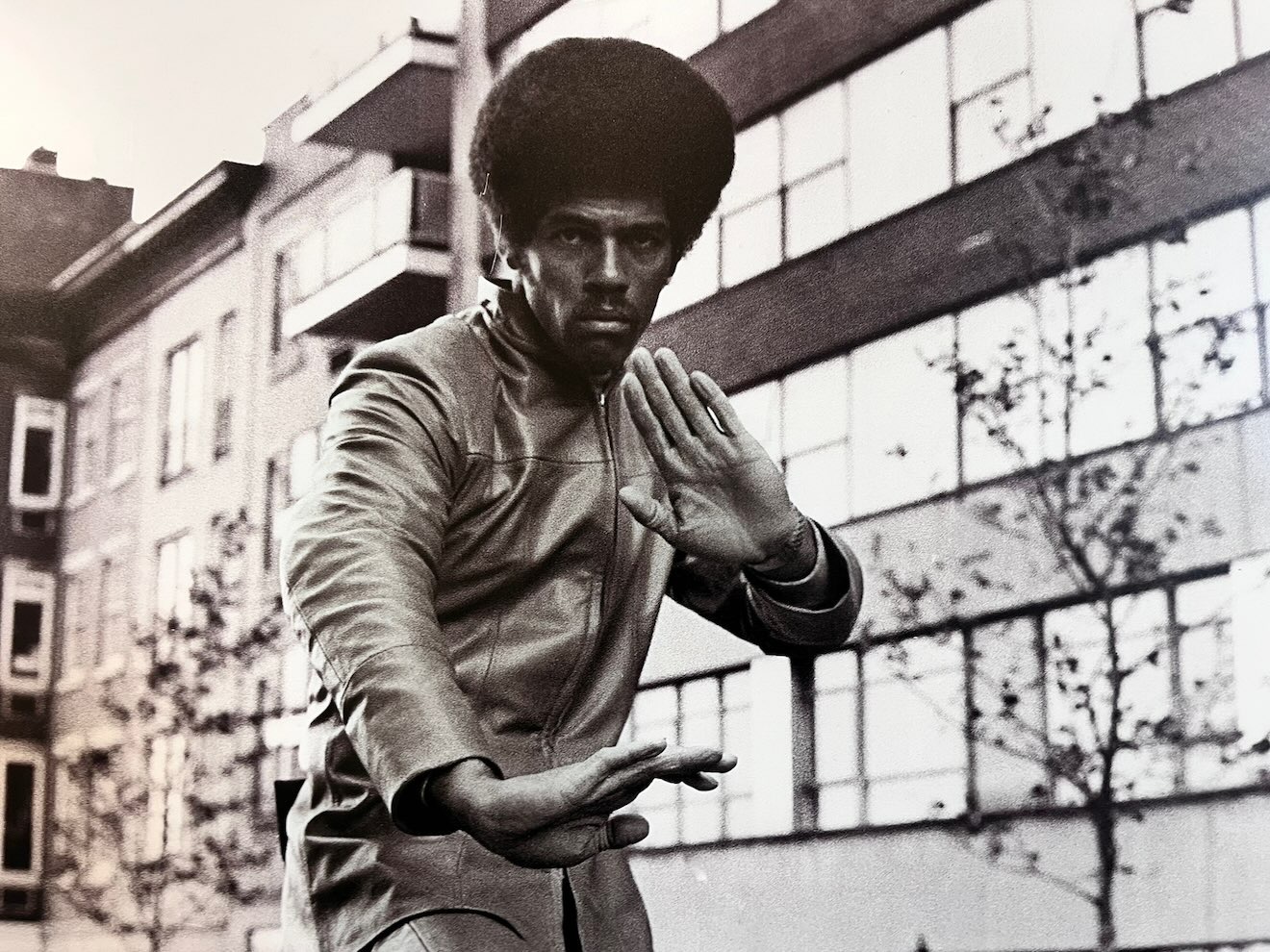 African American Museum of Dallas reviews exhibit featuring a man in a martial arts stance with an Afro hairstyle