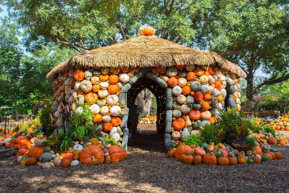 Pumpkin-covered hut with colorful gourds and harvest decorations at one of the favorite Dallas fall events.
