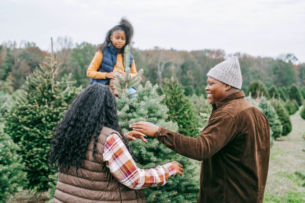 Parents and child search for the perfect Christmas tree at a local tree farm during Christmas in Grapevine.