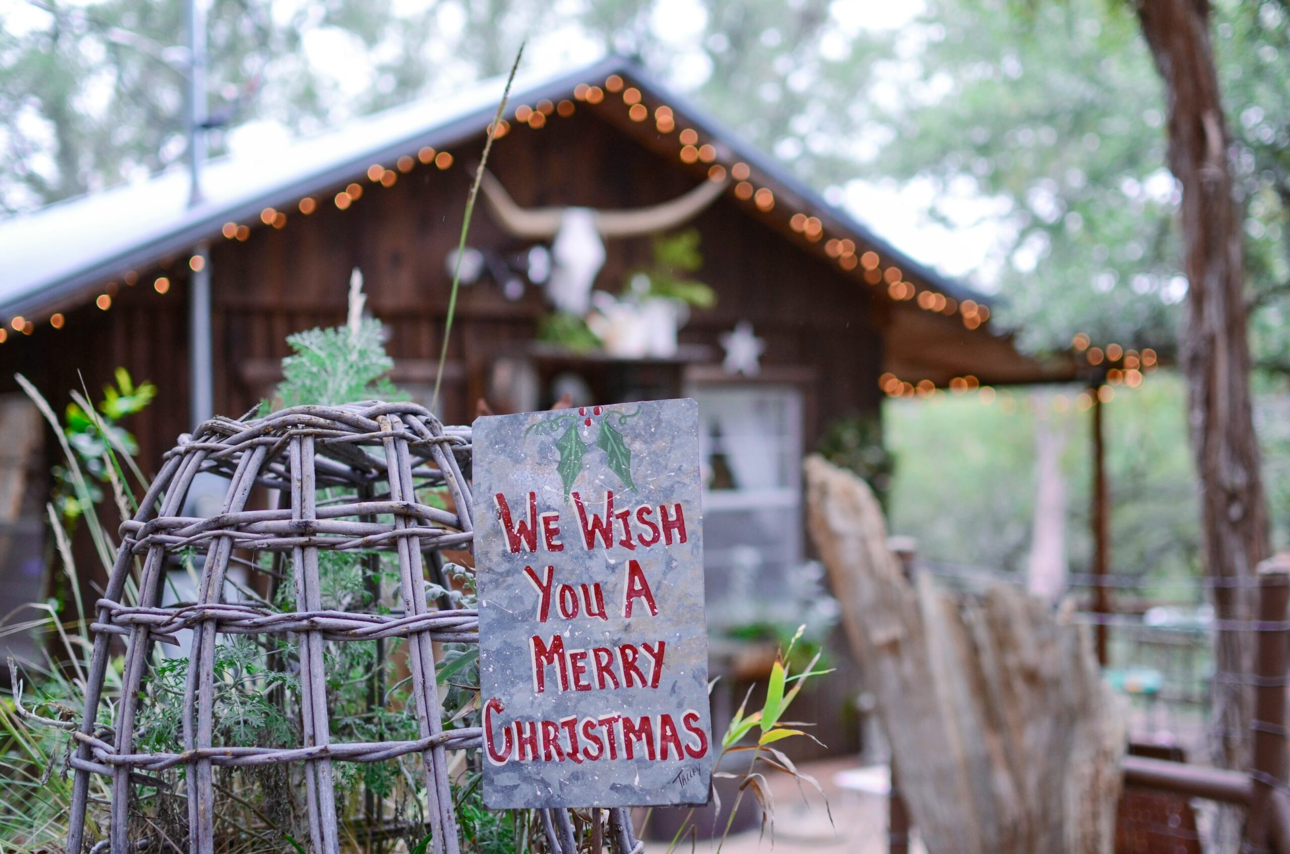 Christmas in Grapevine scene with a wooden building, longhorn cow head decoration, holiday lights, and a wicker planter displaying a Merry Christmas sign.
